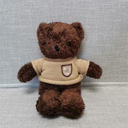 TEDDY BEAR PLUSH TOY WITH SWEATER FOR BOYS